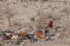 TANZANIA - NGORONGORO CRATER