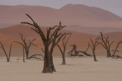 NAMIBIA - DEAD VLEI