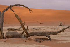 NAMIBIA - DEAD VLEI