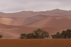 NAMIBIA - SOSSUSVLEI DUNES