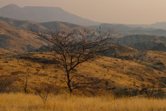 NAMIBIA - HAKOS