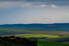 OVERBERG STORM