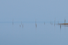 ZIMBABWE  - LAKE KARIBA - HORIZON