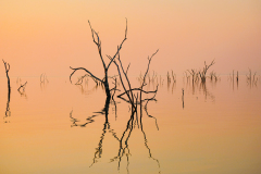 ZIMBABWE  - LAKE KARIBA - REFLECTION