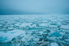 ARCTIC ICEBERG