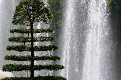 HANOI PARKS