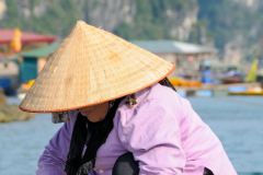 HA LONG BAY LIFE