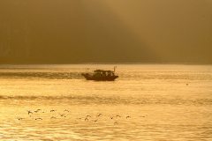 HA LONG BAY SUNSET