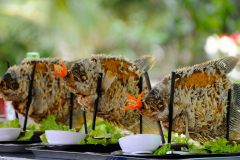  MEKONG LUNCH