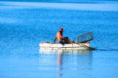 CIENFUEGOS - LIFE