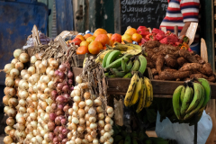  HAVANA - MARKETS