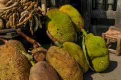 JACK FRUIT