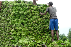 SUPPLIES - MADAGASCAR