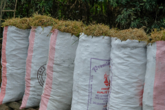 SUPPLIES - MADAGASCAR