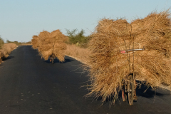 RN7  TOLIARA -ISALO