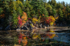 AUTUMN CANADA