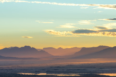 BOLAND SHIMMER